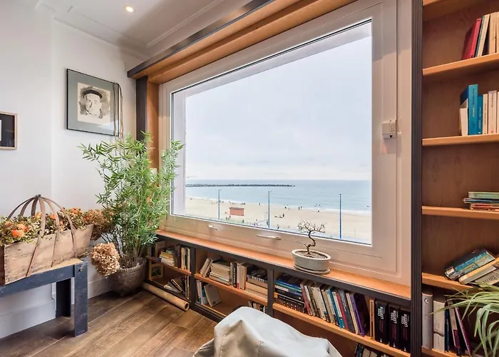 Colon Zurriola Ib San Sebastián